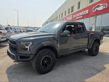 فورد  رابتر  2018  اوتوماتيك  302,000 كم  6 سلندر  دفع رباعي  بيكب  رمادي