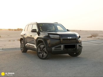 بي واي دي  ليوبيرد 3  2025  اوتوماتيك  135,000 كم  0 سلندر  سحب امامي  اس يو في  أسود  تحت الضمان