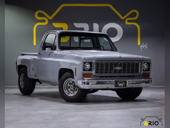 Chevrolet  C10/K10  1973  Automatic  23,000 Km  8 Cylinder  Rear Wheel Drive (RWD)  Pick Up  Silver