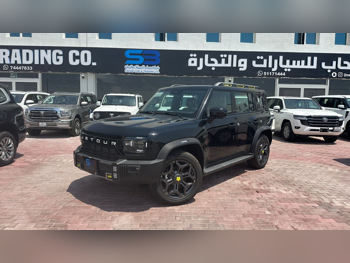 جيتور  تي 2  2025  اوتوماتيك  0 كم  4 سلندر  دفع رباعي  اس يو في  أسود  تحت الضمان