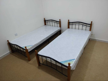 Beds - Single  - Brown  - Mattress Included