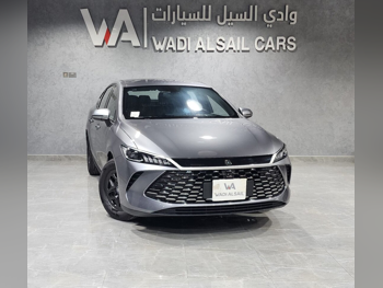 BYD  Qin Plus  EV  2025  Automatic  70 Km  4 Cylinder  Rear Wheel Drive (RWD)  Sedan  Gray  With Warranty