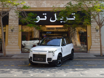 Rox Motor  Jishi  01  2026  Automatic  0 Km  4 Cylinder  Four Wheel Drive (4WD)  SUV  White  With Warranty