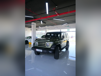 بي اي دبليو  212  2025  اوتوماتيك  2,000 كم  4 سلندر  دفع رباعي  اس يو في  اخضر فاتح  تحت الضمان