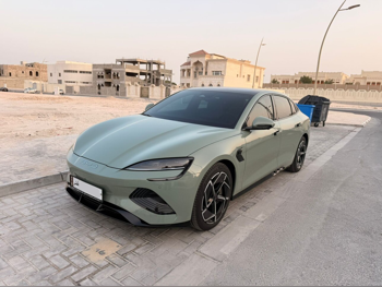 بي واي دي  سيل  2025  اوتوماتيك  3,600 كم  0 سلندر  دفع كلي مستمر  سيدان  أخضر  تحت الضمان