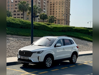 Bestune  T33  2022  Automatic  106,000 Km  4 Cylinder  Front Wheel Drive (FWD)  SUV  White