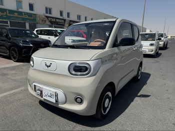 Wuling  Mini EV  2025  Automatic  87 Km  0 Cylinder  Rear Wheel Drive (RWD)  Hatchback  Beige  With Warranty