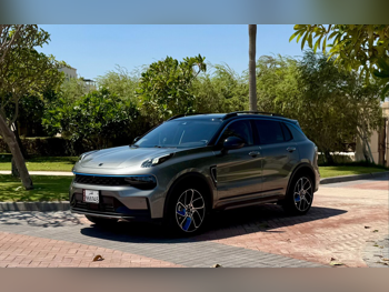 لينك اند كو  01  لاودر برو  2024  اوتوماتيك  9,000 كم  4 سلندر  سحب امامي  اس يو في  رمادي  تحت الضمان