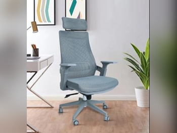 Desk Chairs - Executive Chair  - Gray