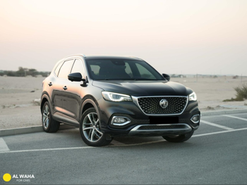 ام جي  اتش اس  2023  اوتوماتيك  17,000 كم  4 سلندر  دفع رباعي  اس يو في  أسود  تحت الضمان