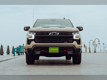 Chevrolet  Silverado Z71  8 Cylinder  Pickup  Beige  2023