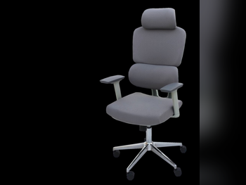 Desk Chairs - Executive Chair  - Gray