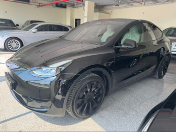 Tesla  Model 3  2025  Automatic  0 Km  0 Cylinder  Rear Wheel Drive (RWD)  Sedan  Black  With Warranty