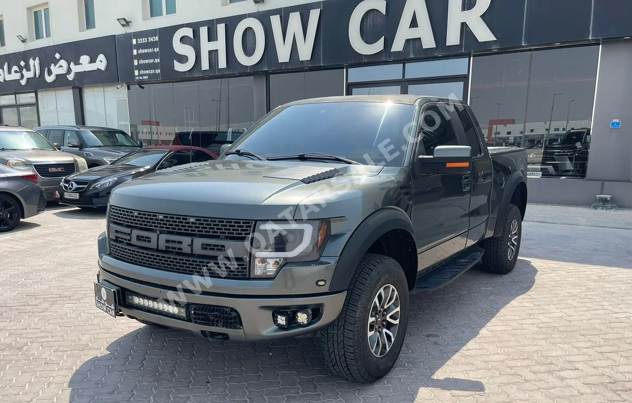 فورد  رابتر  2014  اوتوماتيك  317,000 كم  8 سلندر  دفع رباعي  بيكب  رمادي