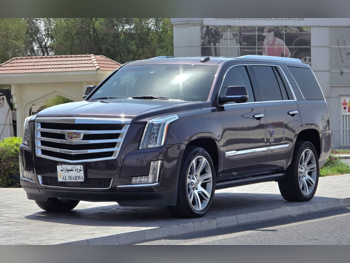 كاديلاك  اسكيليد  2015  اوتوماتيك  170,000 كم  8 سلندر  دفع رباعي  اس يو في  بنفسجي