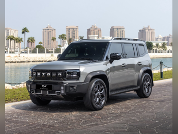 Jetour  T2  Luxury Plus  2025  Automatic  23,000 Km  4 Cylinder  Four Wheel Drive (4WD)  SUV  Silver  With Warranty