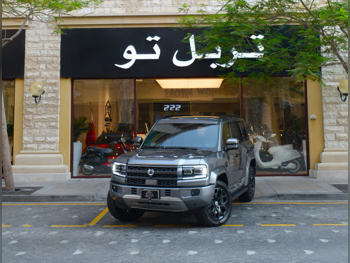 بي واي دي  دينزا  بي 5 فلاك شب  2026  اوتوماتيك  0 كم  4 سلندر  دفع رباعي  اس يو في  رمادي  تحت الضمان