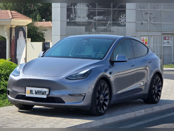 Tesla  Model Y  Performance  2024  Automatic  30,000 Km  0 Cylinder  All Wheel Drive (AWD)  Sedan  Gray  With Warranty