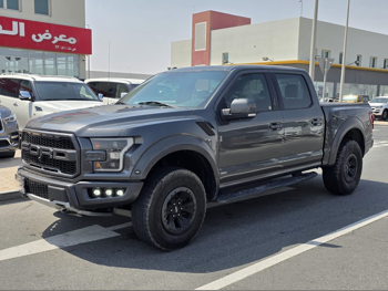 فورد  رابتر  2018  اوتوماتيك  234,000 كم  6 سلندر  دفع رباعي  بيكب  رمادي