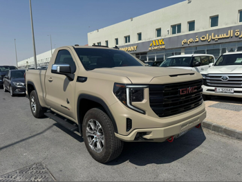 جي ام سي  سييرا  اليفيشن  2023  اوتوماتيك  36,000 كم  8 سلندر  دفع رباعي  بيكب  بيج  تحت الضمان