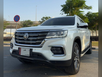 ام جي  ار اكس8  30 تي  2024  اوتوماتيك  36,100 كم  4 سلندر  دفع رباعي  اس يو في  أبيض  تحت الضمان