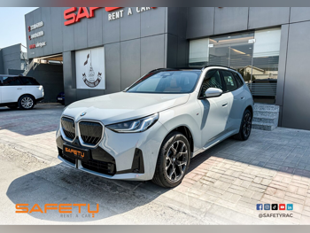 BMW  X 3  4 Cylinder  Sport  Gray Metallic  2025