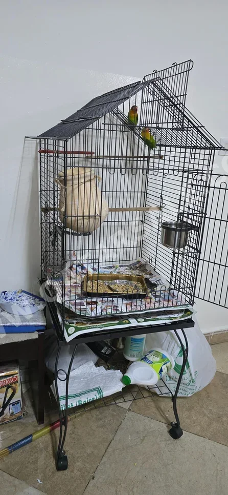 حيوانات أليفة