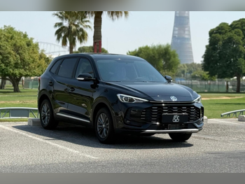 MG  ZS  SUV 2x4  Black  2026