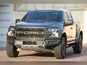 Ford  Raptor  2020  Automatic  106,000 Km  6 Cylinder  Four Wheel Drive (4WD)  Pick Up  Gray