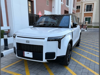 روكس موتور  جيشي  01  2025  اوتوماتيك  0 كم  4 سلندر  دفع كلي مستمر  اس يو في  أبيض و أسود