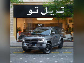 بي واي دي  ليوبيرد 5  2025  اوتوماتيك  0 كم  4 سلندر  دفع رباعي  اس يو في  رمادي