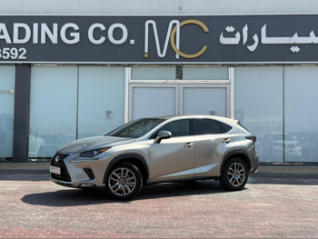 Lexus  NX  300  2020  Automatic  127,000 Km  4 Cylinder  Four Wheel Drive (4WD)  SUV  Gray