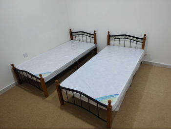 Beds - Single  - Brown  - Mattress Included