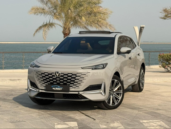 Changan  UNI-K  2024  Automatic  79,000 Km  4 Cylinder  All Wheel Drive (AWD)  SUV  Gray Nardo  With Warranty