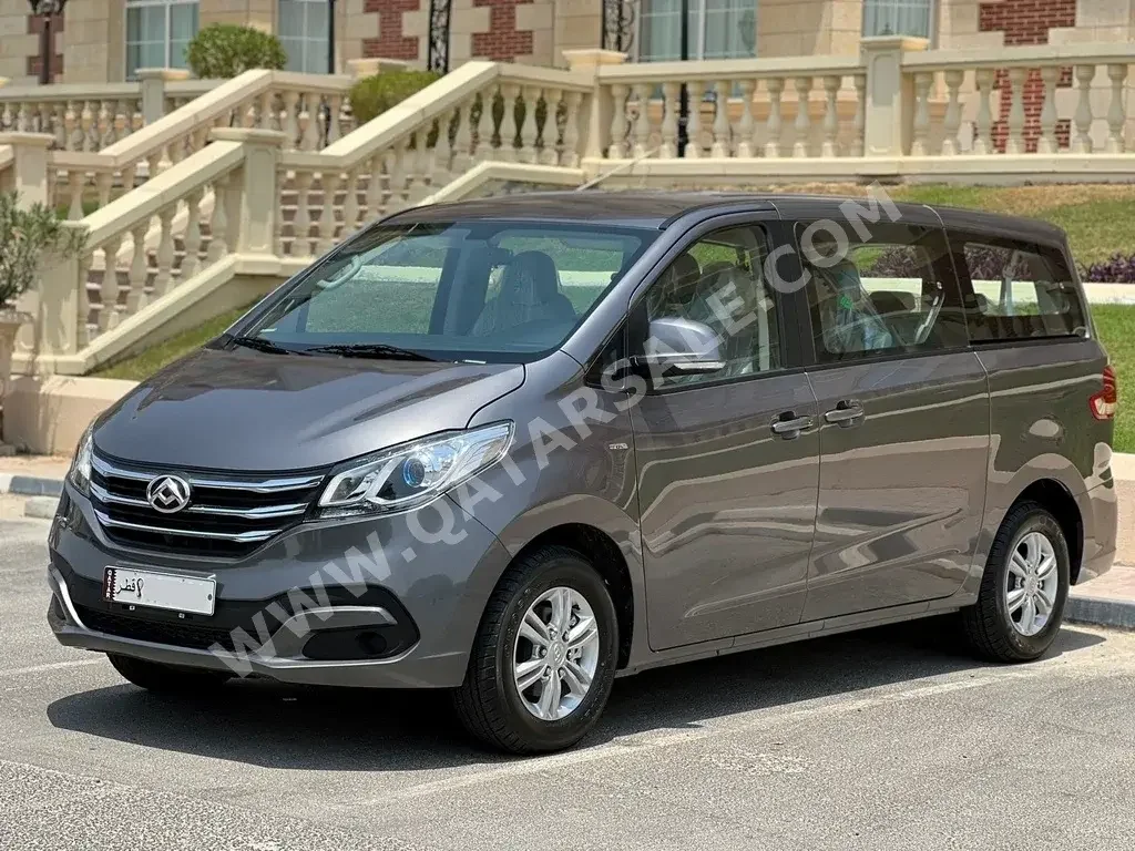 ماكسيس  جي 10  فان  رمادي  2022