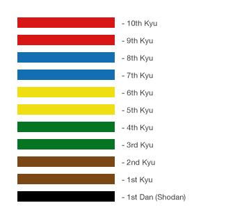 Сколько поясов в карате и какого цвета по порядку фото с названиями
