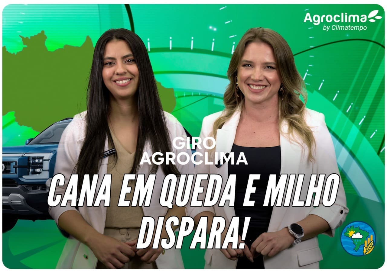 sites/2/2025/07/WhatsApp-Image-2025-07-29-at-10.41.29-1-1.jpeg