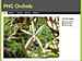 PNG Orchids : December-2014