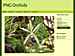 PNG Orchids : June-2020