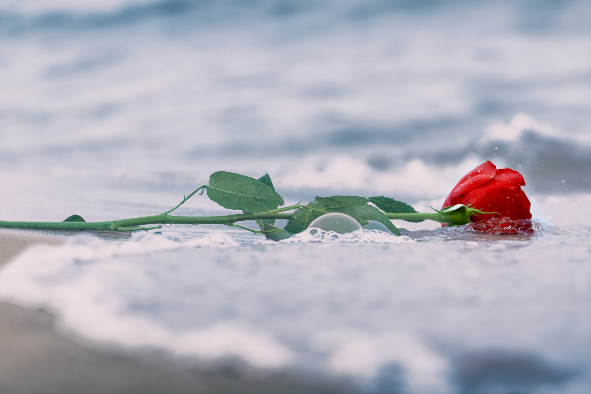 Express Your Condolences