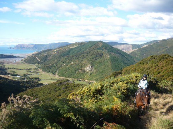 tasman