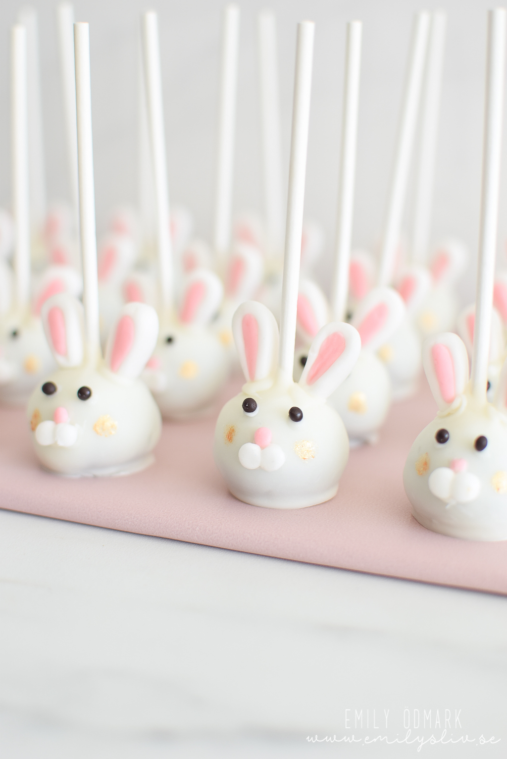 bunny cakepops