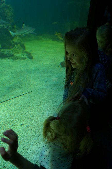 Aquaria Bloggevent (6)