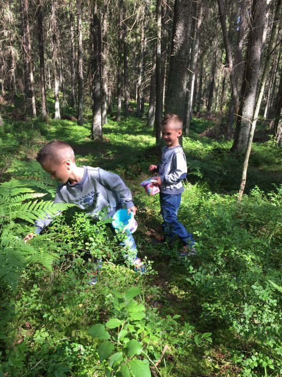 MyBabyDolls plockar blåbär (78)