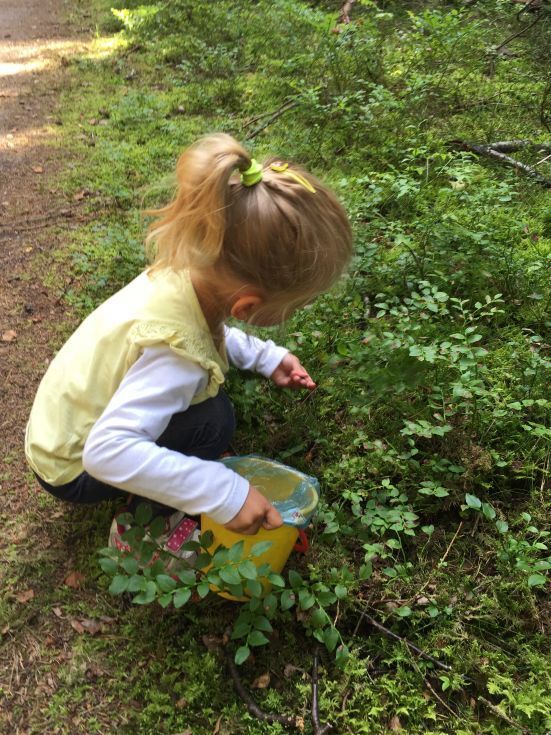 MyBabyDolls plockar blåbär (87)