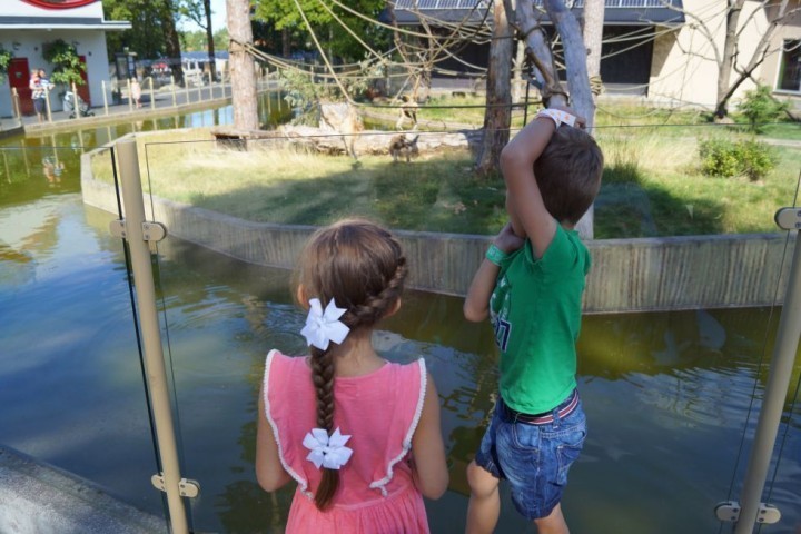 MBD Parken Zoo Eskilstuna (27)