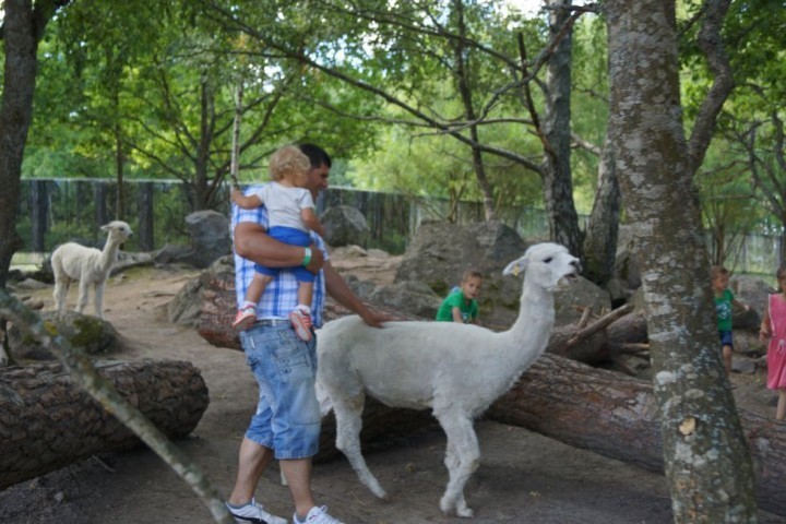 MBD Parken Zoo Eskilstuna (49)