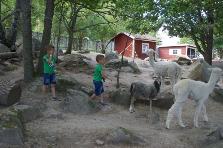 MBD Parken Zoo Eskilstuna (52)