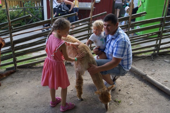 MBD Parken Zoo Eskilstuna (59)