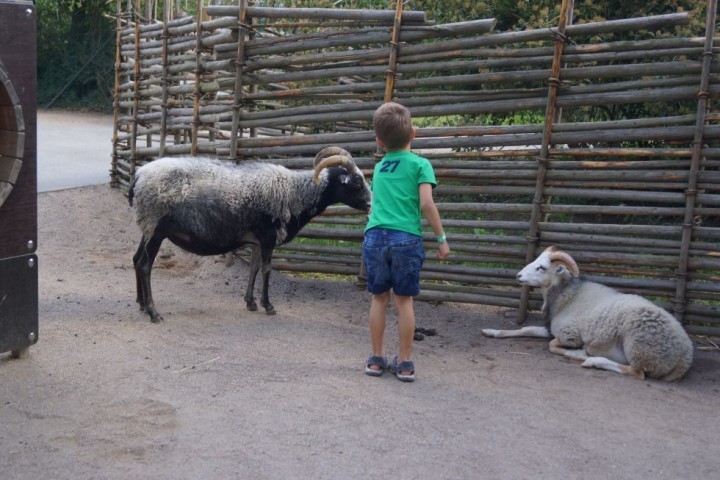 MBD Parken Zoo Eskilstuna (75)